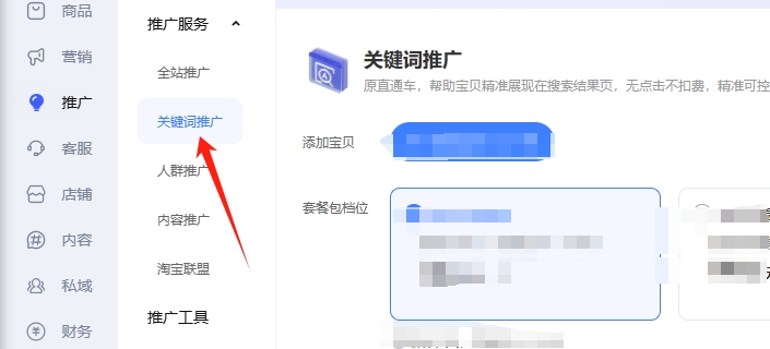 付費(fèi)推廣